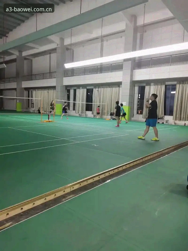 重构运动美学网页版登录哪个好 宝威体育平台网页版登录选择深度分析:A3PL首版元年如何重构运动美学